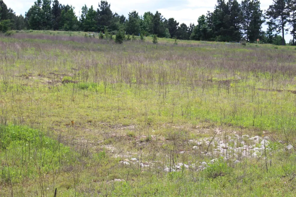 71 Private Road 1315 Centerville, TX 75833