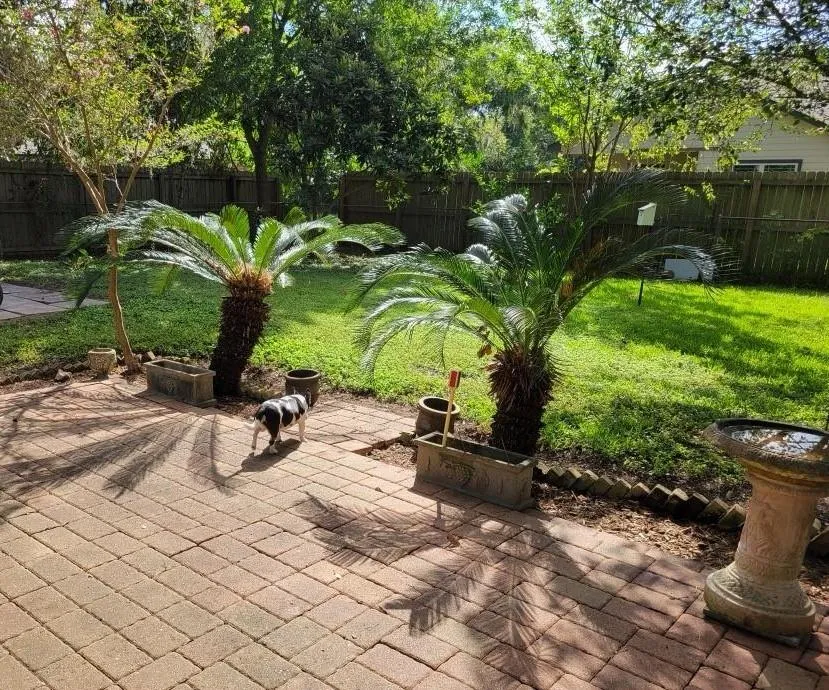 209 Montclaire Dr Drive West Columbia, TX 77486