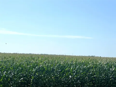 County Road 403
