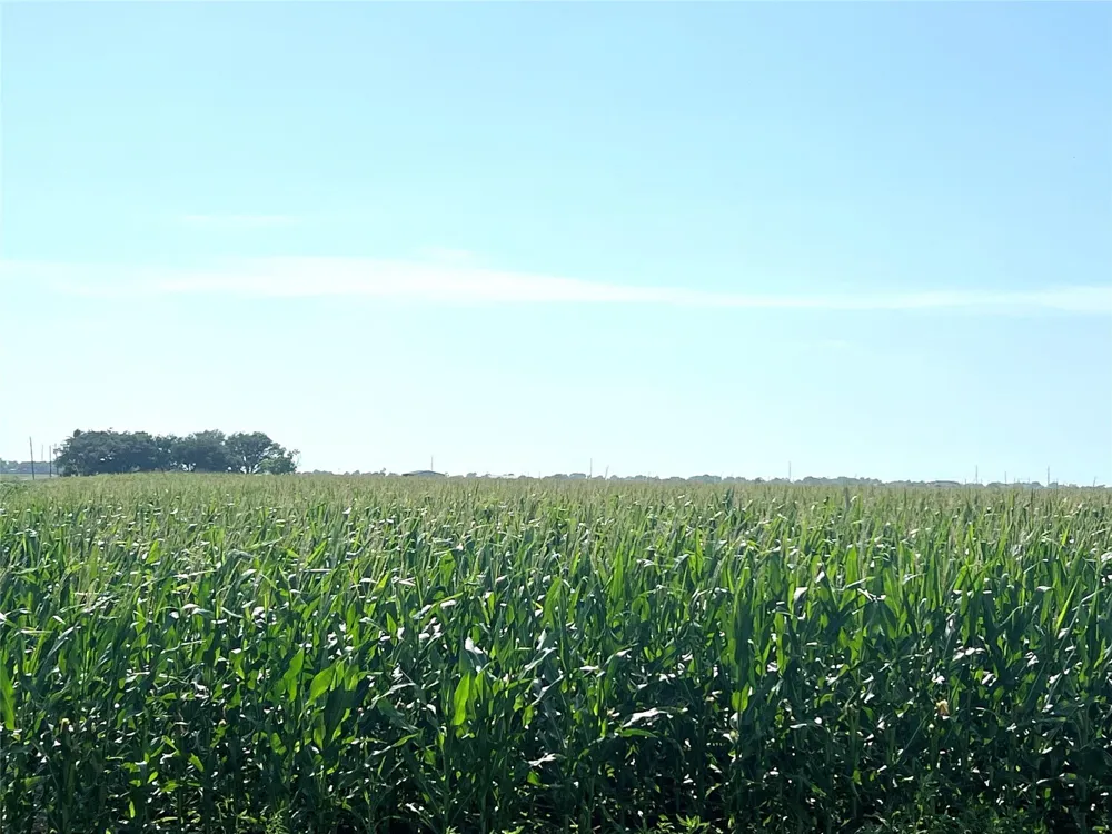 County Road 403 El Campo, TX 77437