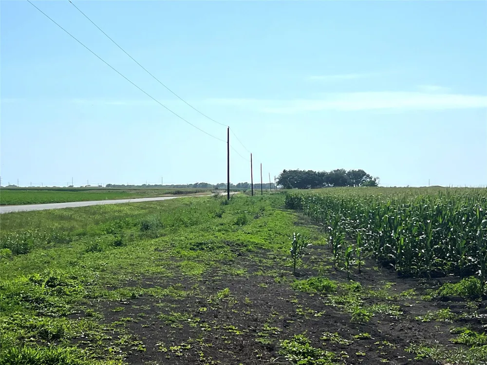 County Road 403 El Campo, TX 77437