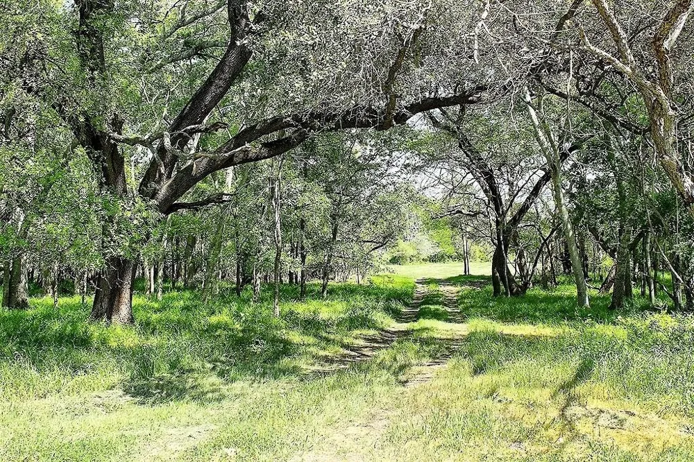 Scott Road Weimar, TX 78962