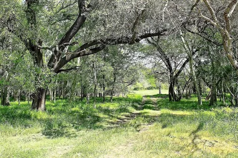 Scott Road