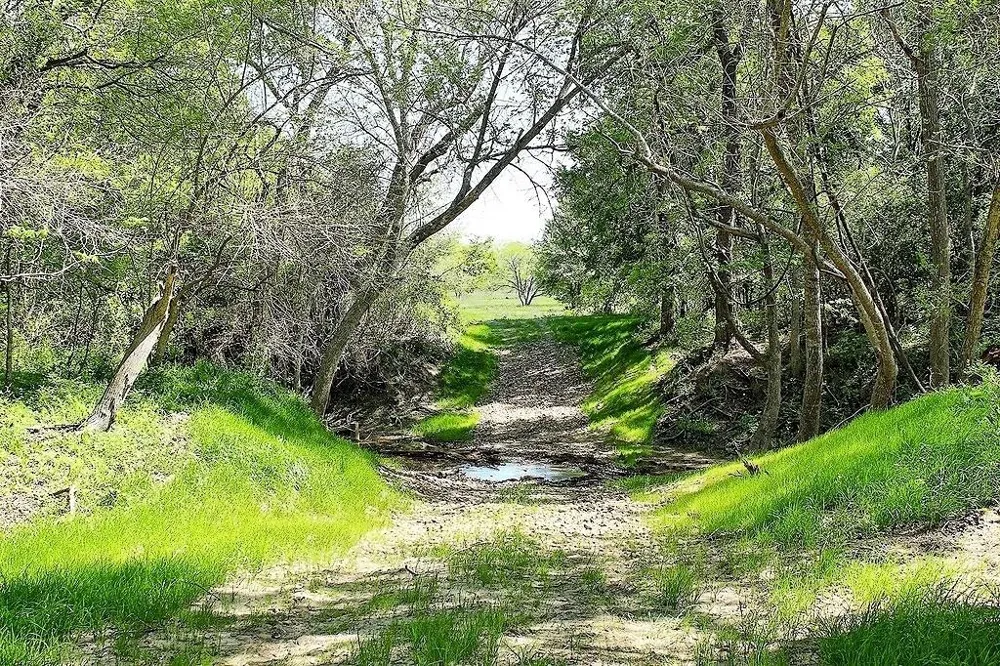 Scott Road Weimar, TX 78962