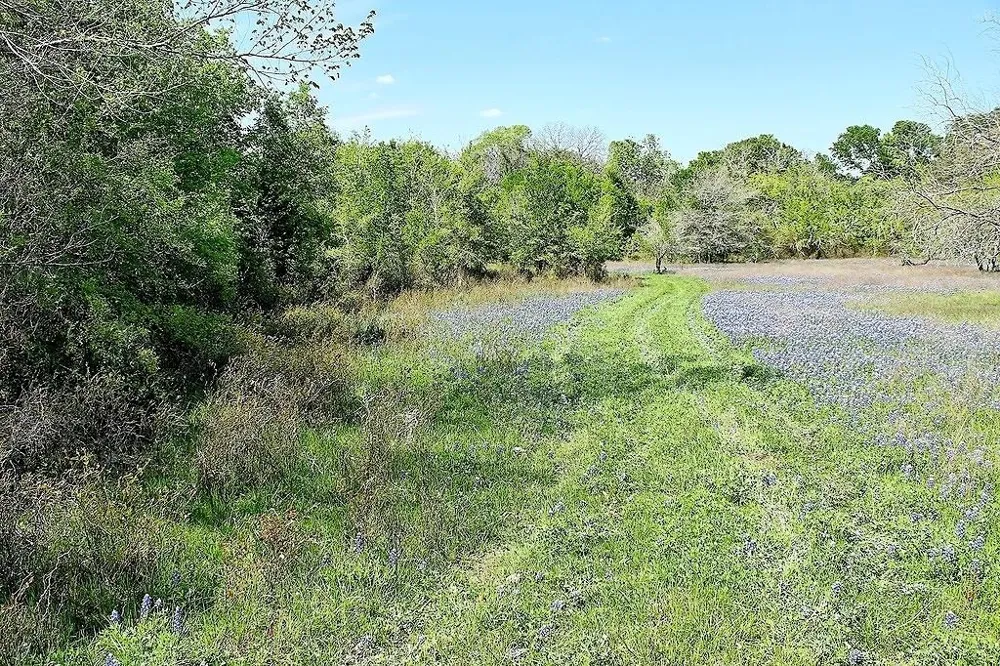 Scott Road Weimar, TX 78962