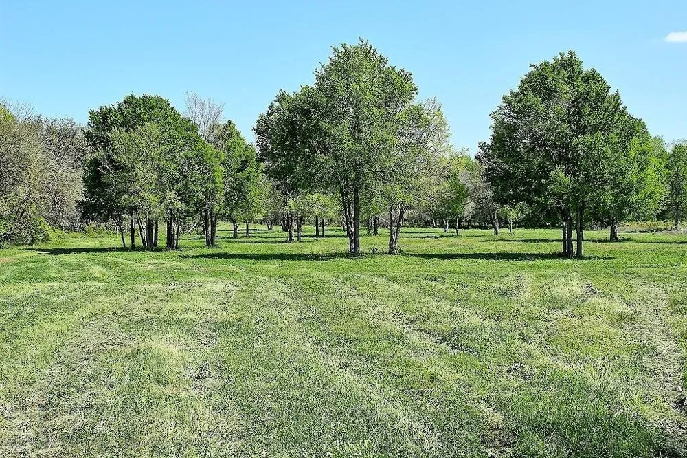 Scott Road Weimar, TX 78962