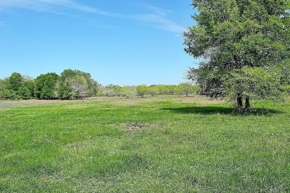 Scott Road Weimar, TX 78962
