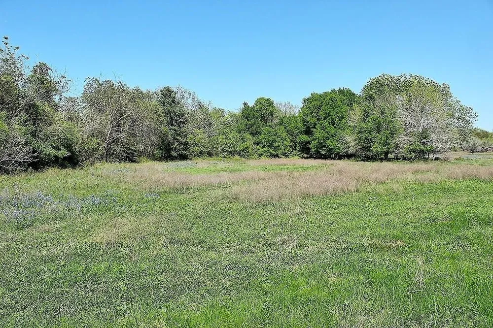 Scott Road Weimar, TX 78962