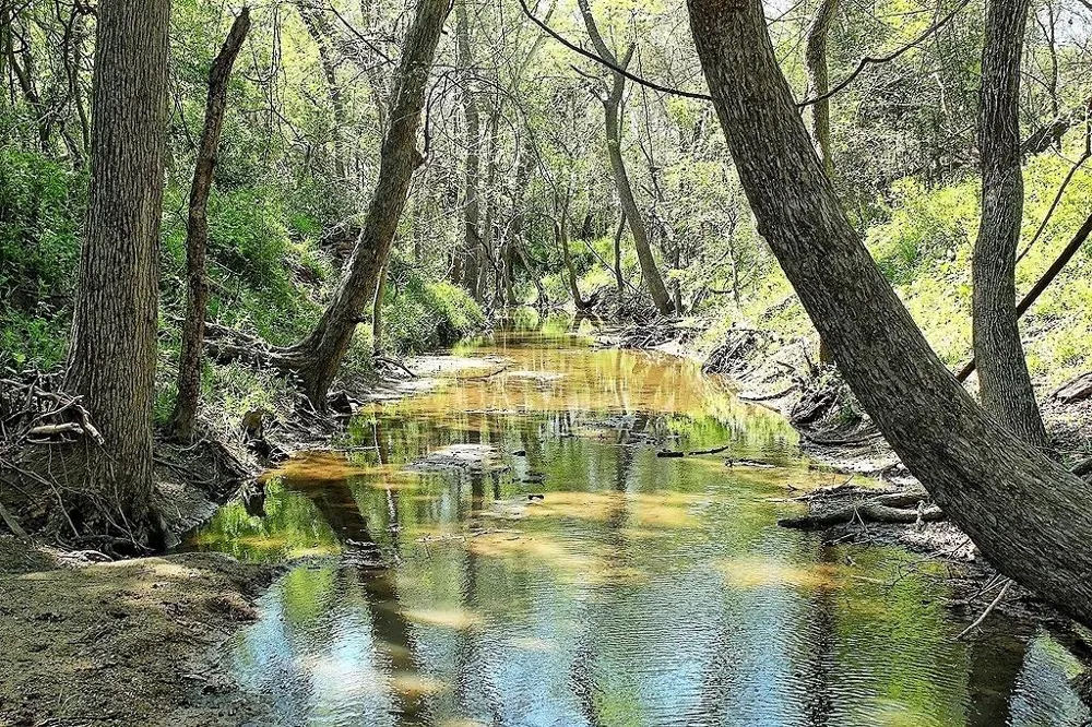 Scott Road Weimar, TX 78962