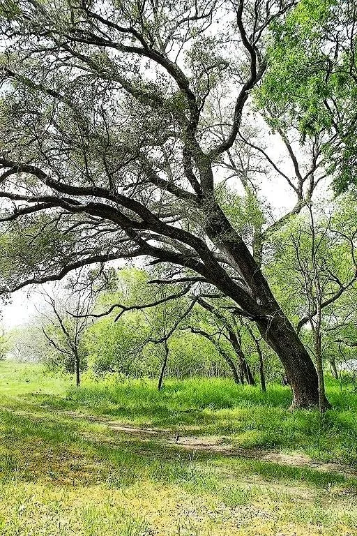 Scott Road Weimar, TX 78962