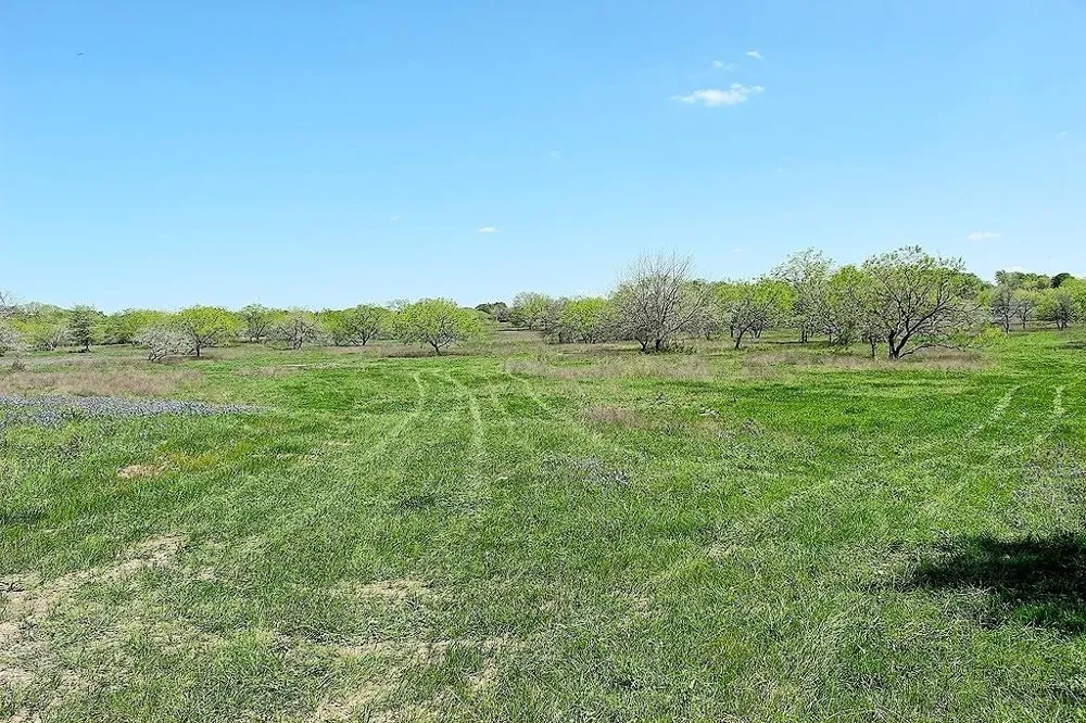 Scott Road Weimar, TX 78962