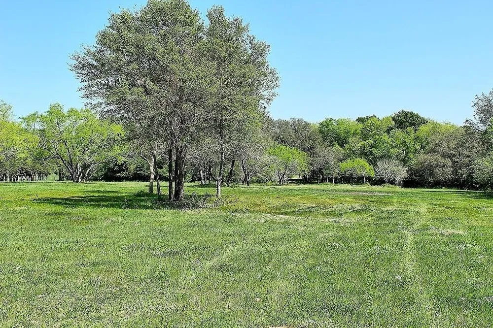Scott Road Weimar, TX 78962