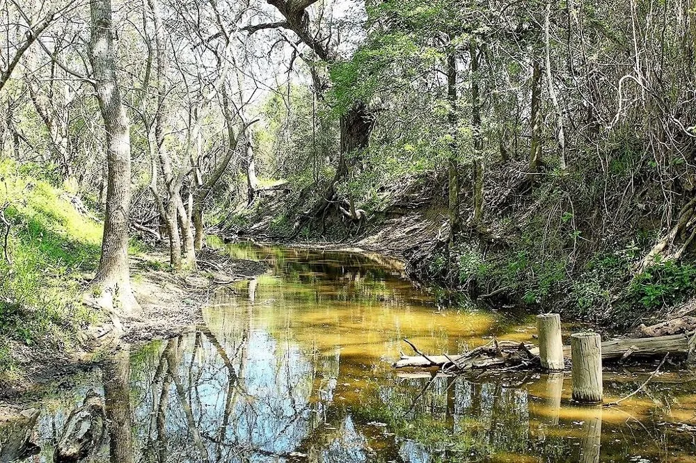 Scott Road Weimar, TX 78962