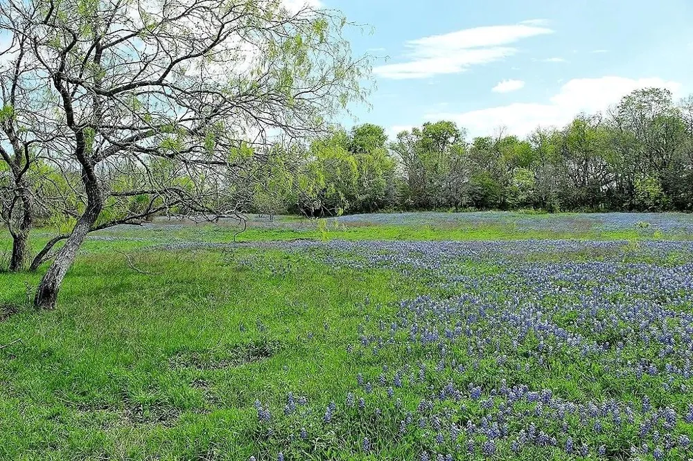 Scott Road Weimar, TX 78962