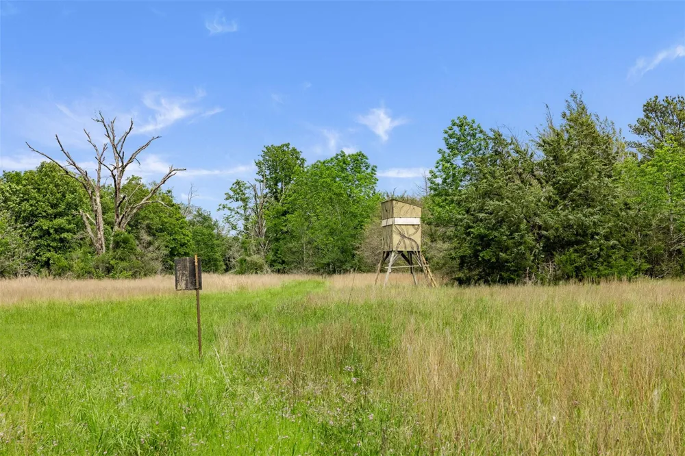 400 Fm 2289 Normangee, TX 77871