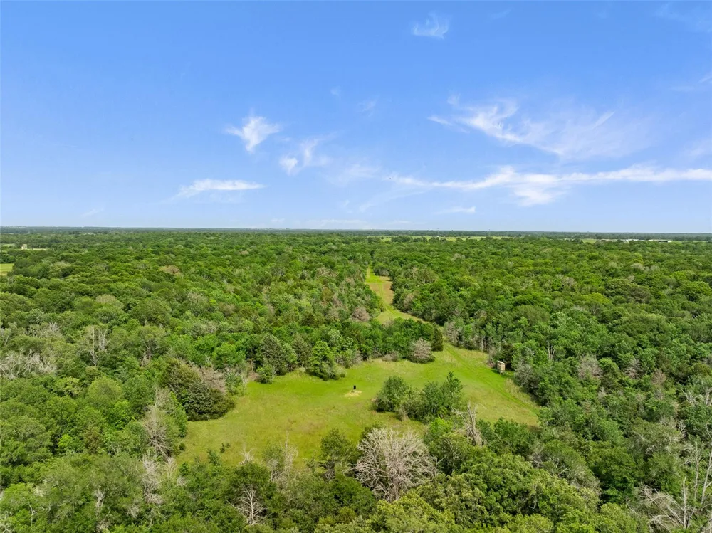 400 Fm 2289 Normangee, TX 77871