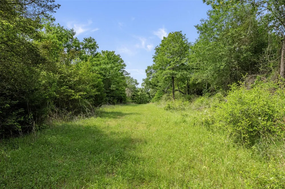 400 Fm 2289 Normangee, TX 77871