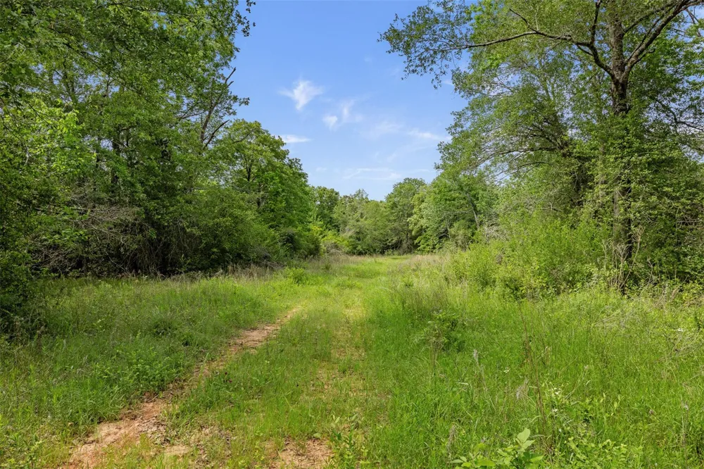 400 Fm 2289 Normangee, TX 77871