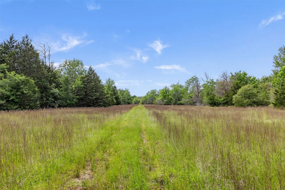 400 Fm 2289 Normangee, TX 77871