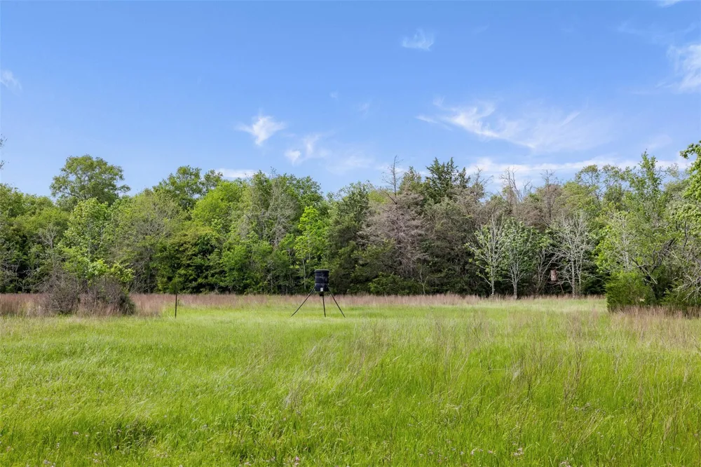 400 Fm 2289 Normangee, TX 77871