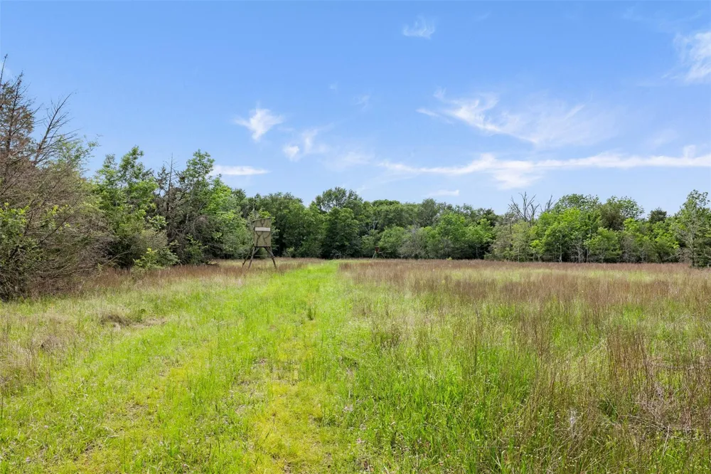 400 Fm 2289 Normangee, TX 77871