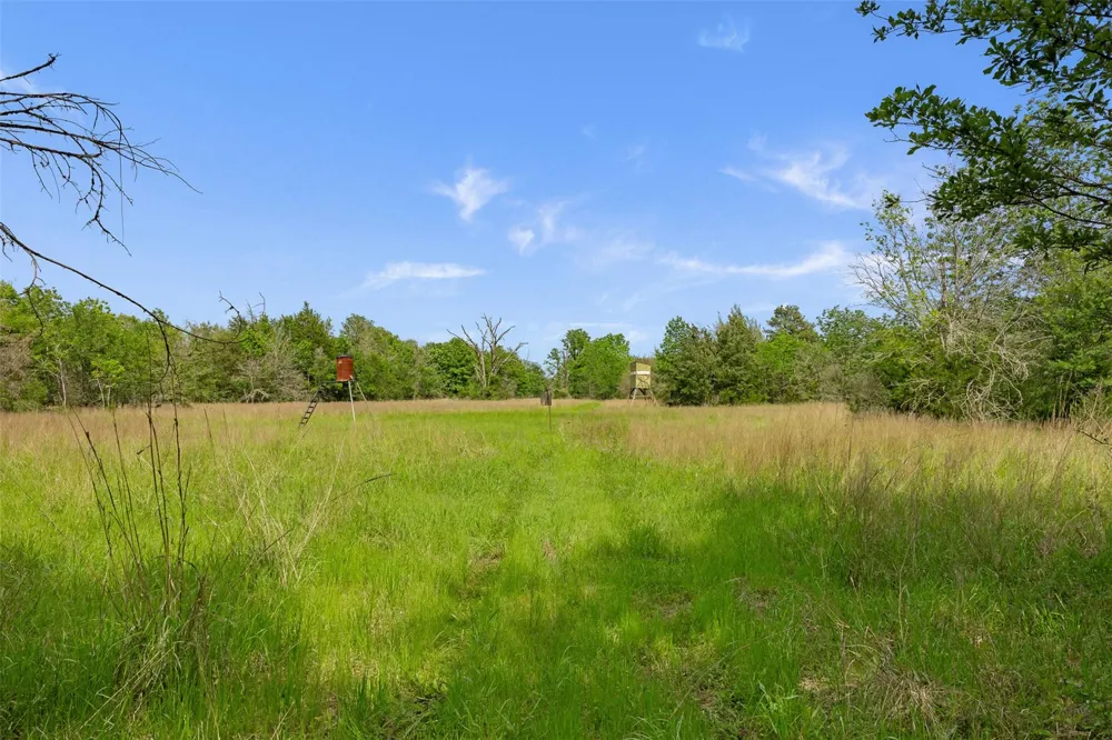 400 Fm 2289 Normangee, TX 77871