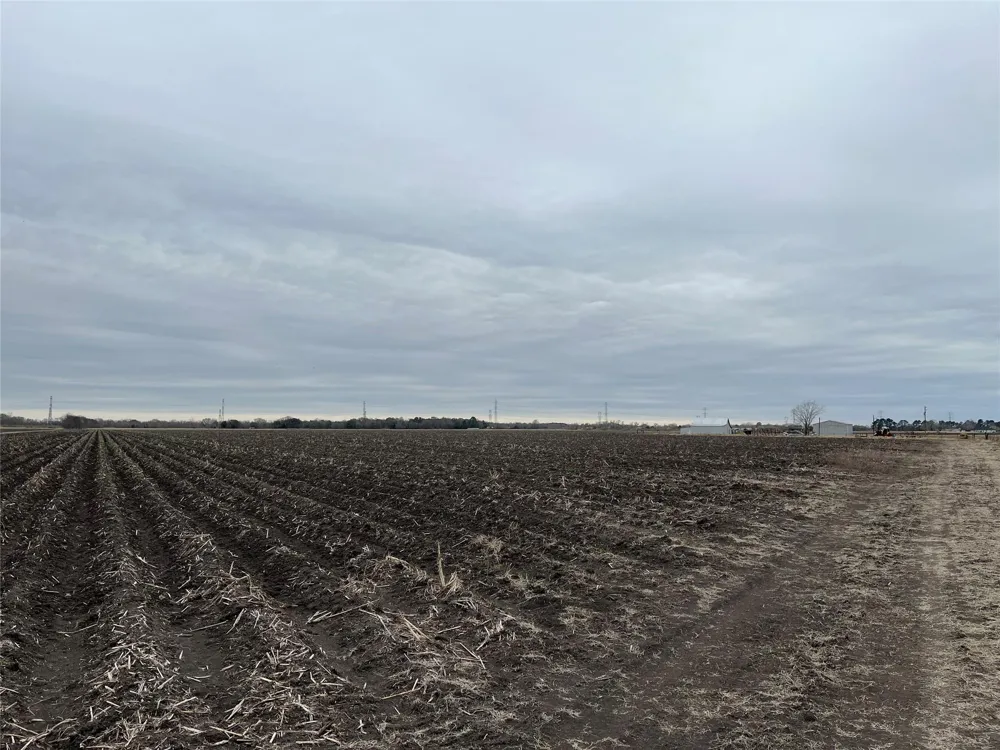 13315 Zamanek Road Needville, TX 77461