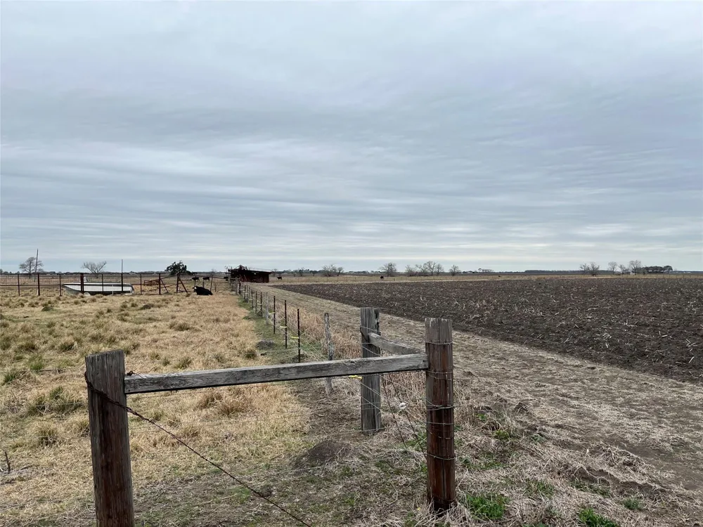 13315 Zamanek Road Needville, TX 77461