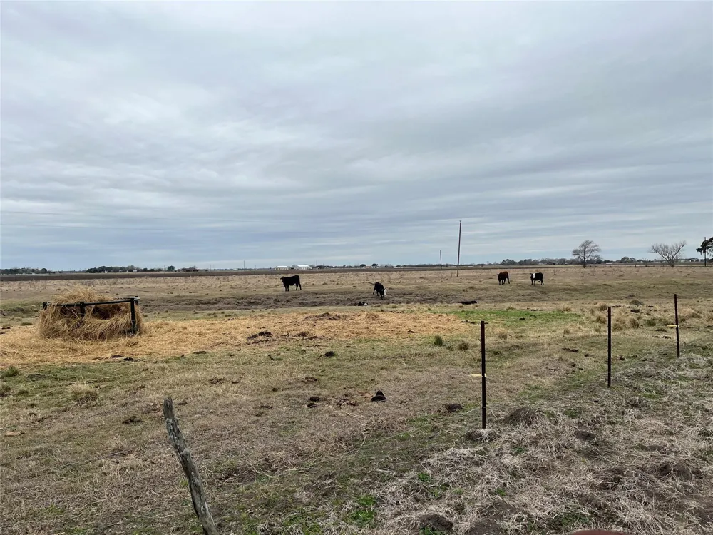 13315 Zamanek Road Needville, TX 77461