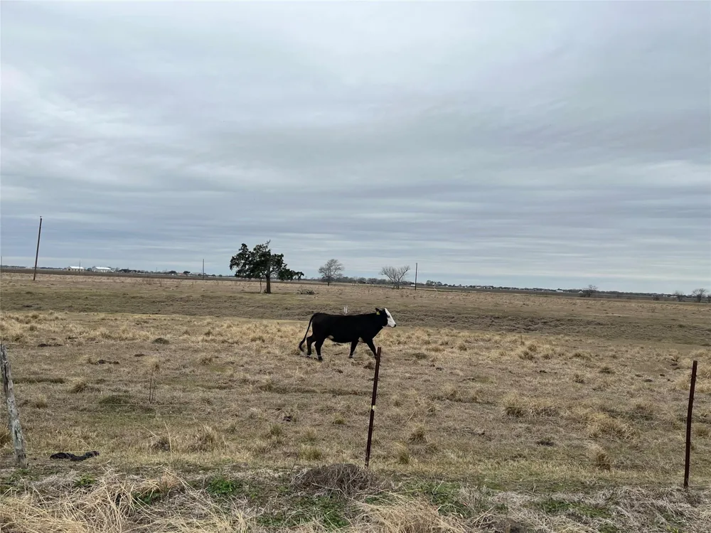 13315 Zamanek Road Needville, TX 77461