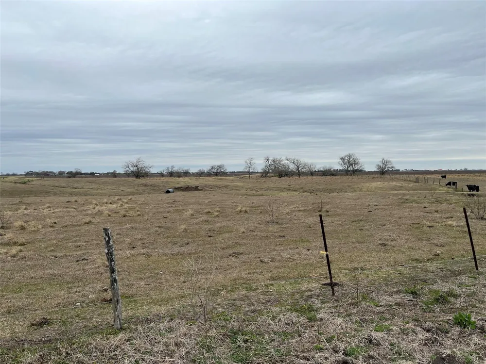 13315 Zamanek Road Needville, TX 77461