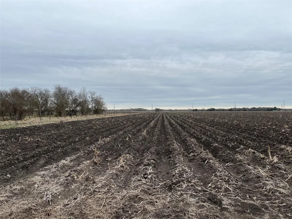 13315 Zamanek Road Needville, TX 77461