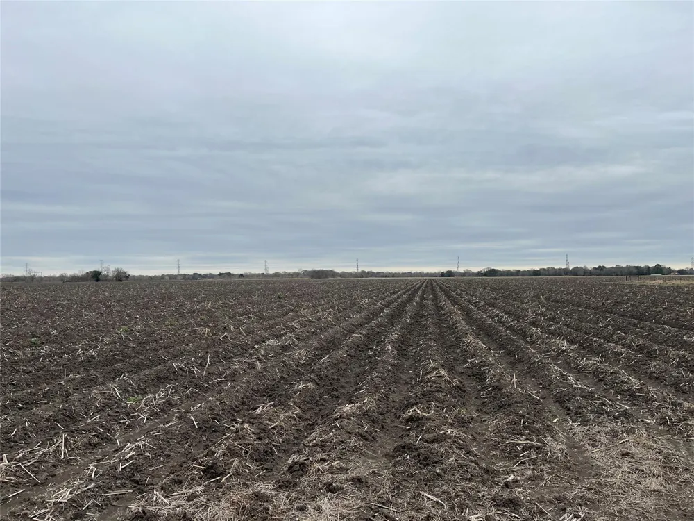 13315 Zamanek Road Needville, TX 77461