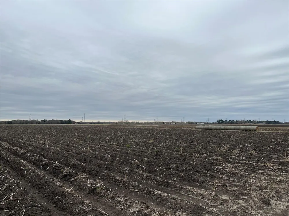 13315 Zamanek Road Needville, TX 77461