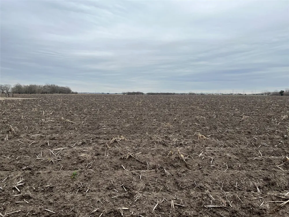 13315 Zamanek Road Needville, TX 77461