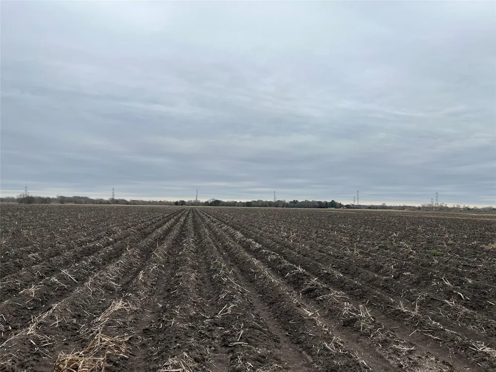 13315 Zamanek Road Needville, TX 77461