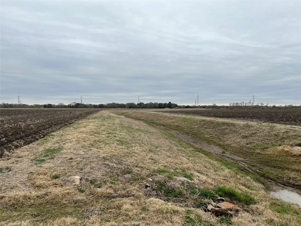 13315 Zamanek Road Needville, TX 77461