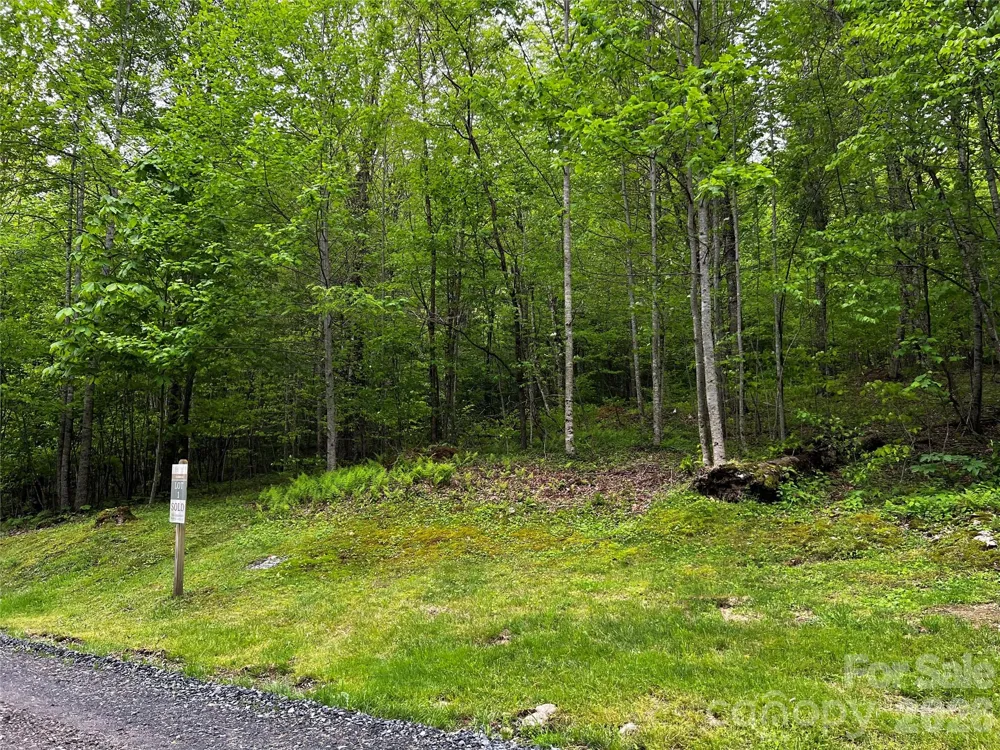 1 Pearl Way Mars Hill, NC 28754
