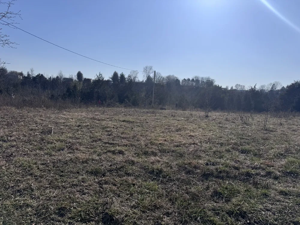 0 Ward Hollow Road Brush Creek, TN 38547