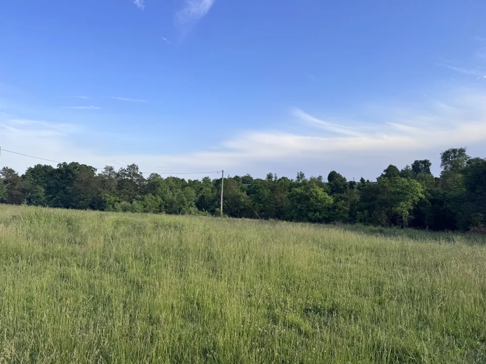 0 Ward Hollow Road Brush Creek, TN 38547