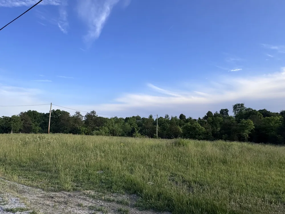 0 Ward Hollow Road Brush Creek, TN 38547