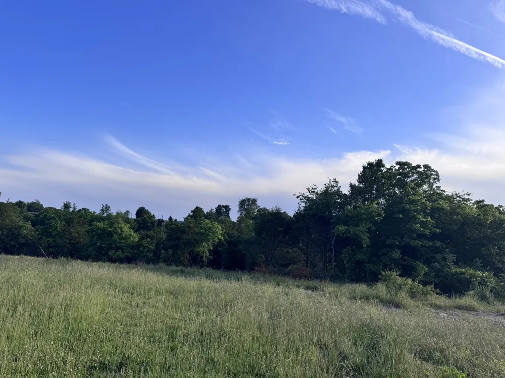 0 Ward Hollow Road Brush Creek, TN 38547