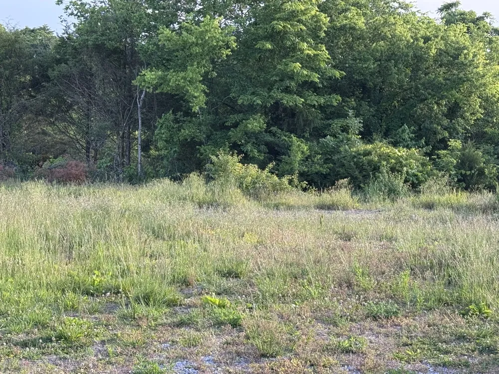 0 Ward Hollow Road Brush Creek, TN 38547
