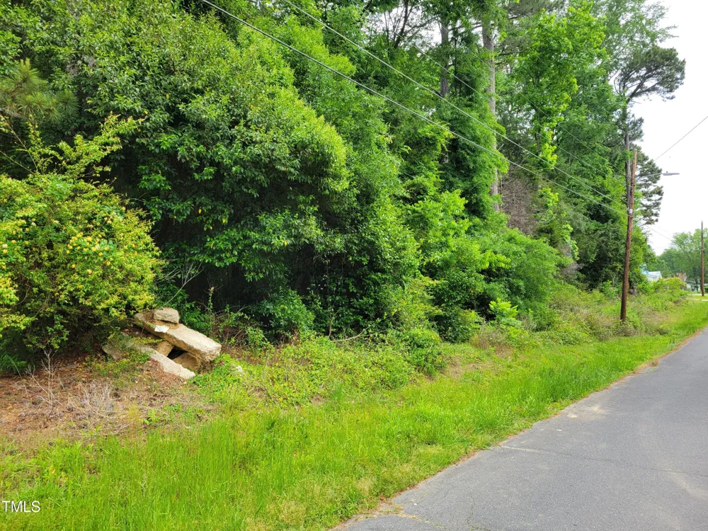 Tbd E Third Street Siler City, NC 27344