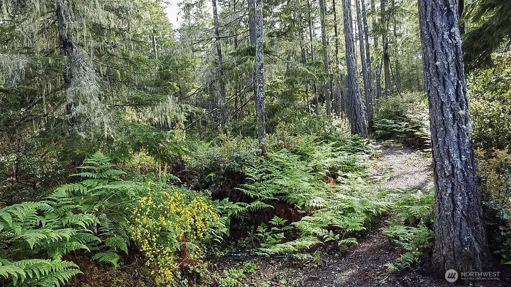 230 E Blackberry Lane Union, WA 98592