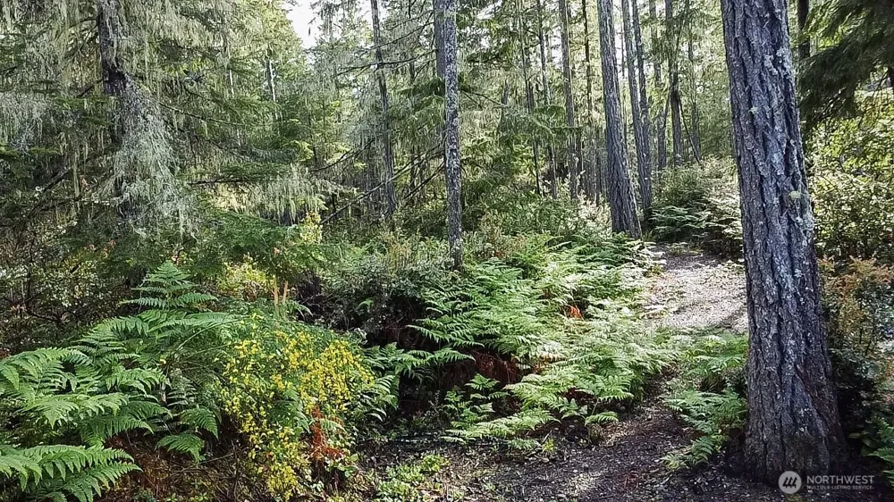 230 E Blackberry Lane Union, WA 98592