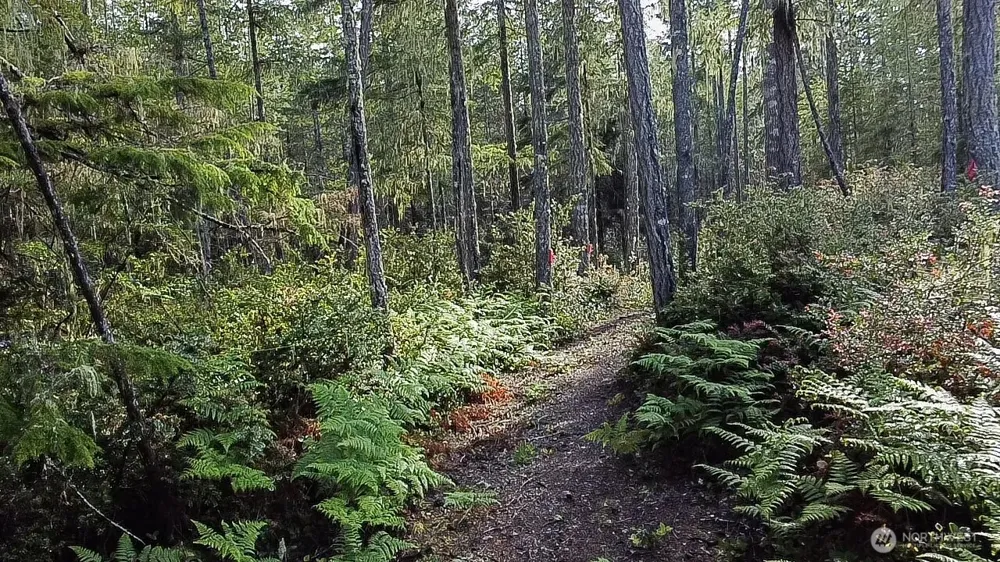 230 E Blackberry Lane Union, WA 98592
