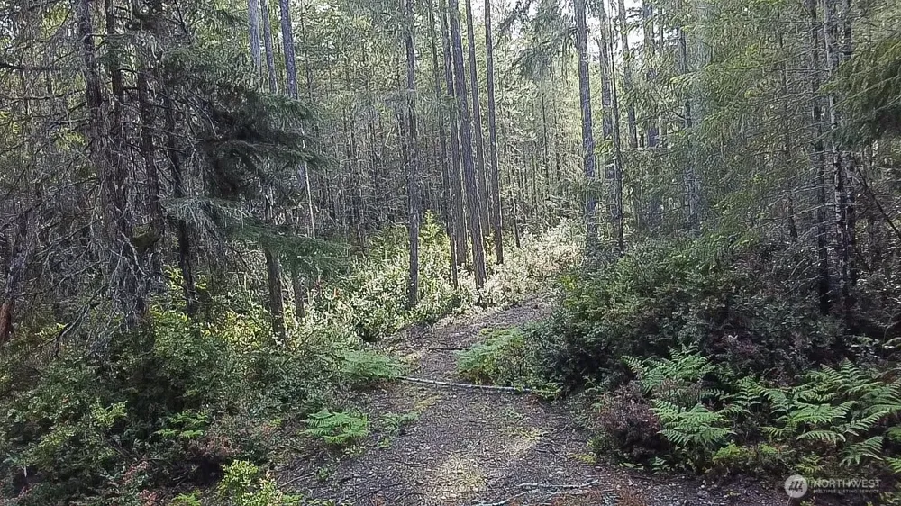 230 E Blackberry Lane Union, WA 98592