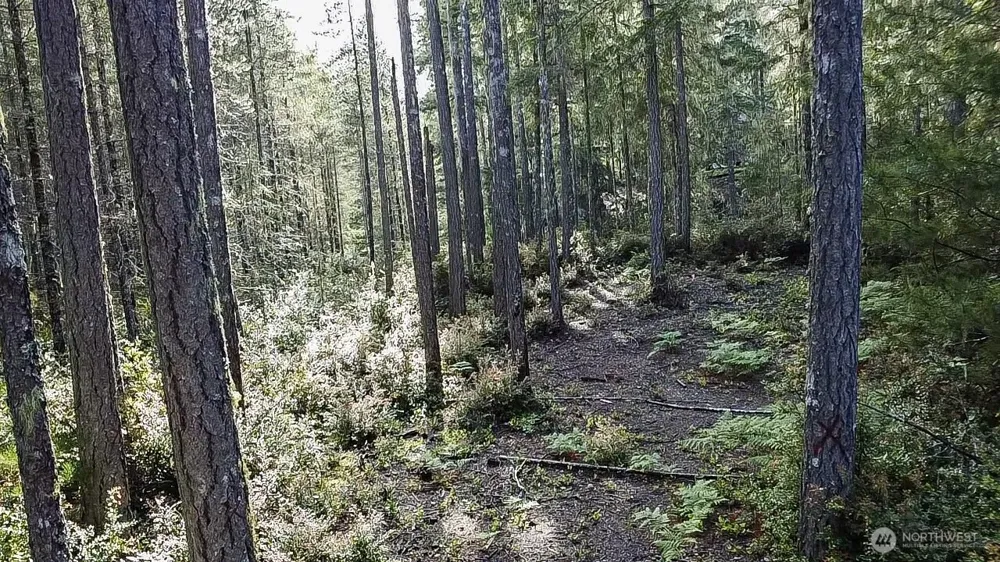 230 E Blackberry Lane Union, WA 98592