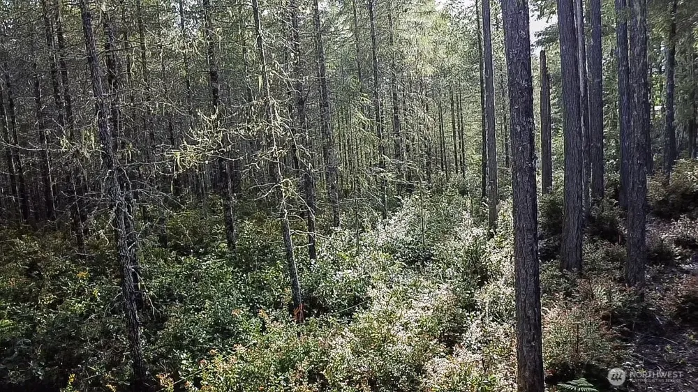 230 E Blackberry Lane Union, WA 98592